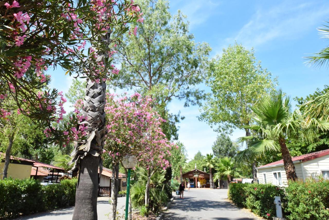 Camping Les Salisses - Maeva Vias Exteriör bild